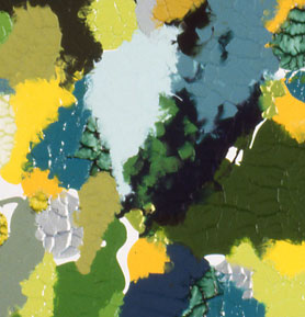 Specimen #14 (detail), 2002, Joanne Mott